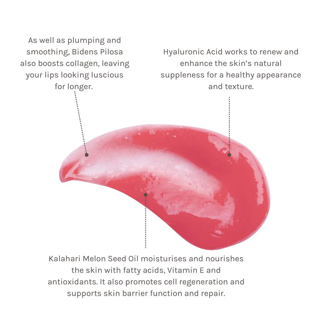 Evolve Beauty Bio-Retinol Glossy Lip Oil - Sugarcane Tube - Image 4