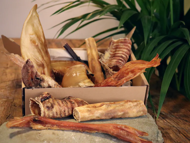 Pet Impact Plastic Free Dog Treats - Cool Climate Chews - Image 2